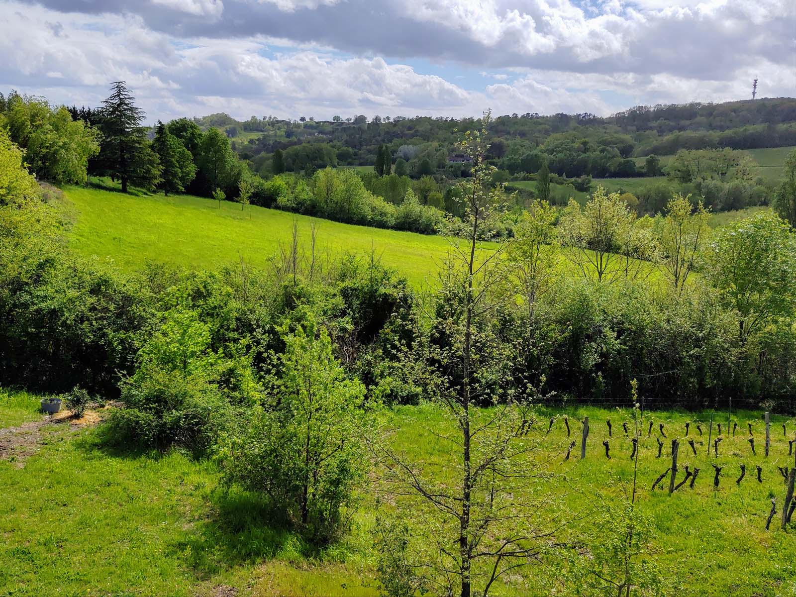 Vue de la terrasse surélevée
